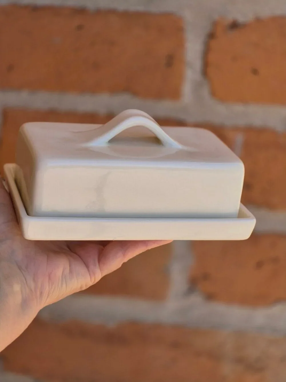 Pottery Barn Barbara Eigen Butter Dish Quarter Pound Tray and Lid